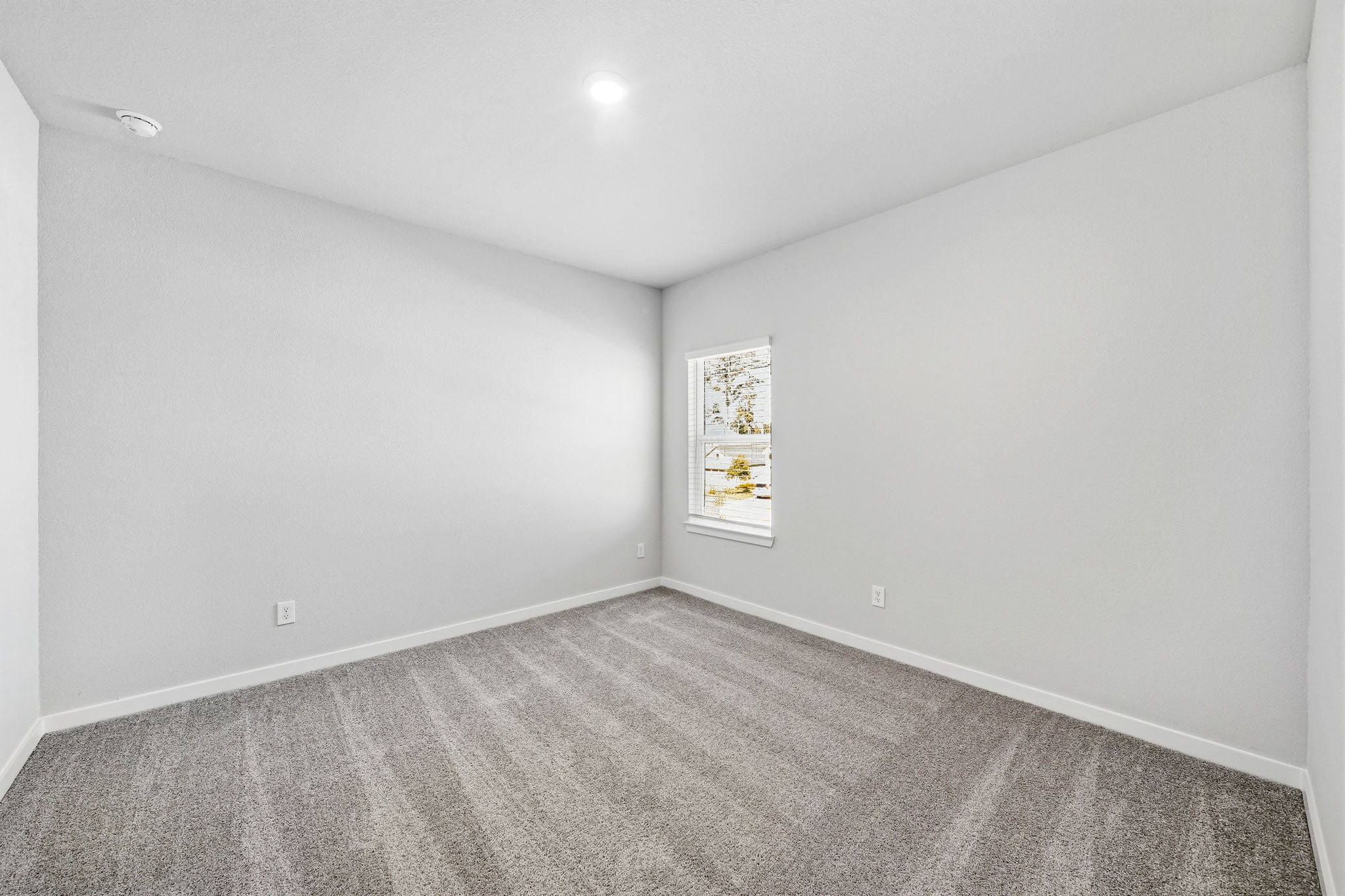 A room with a carpet and a window.
