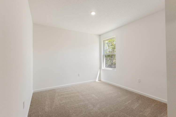 A room with a carpet and a window.