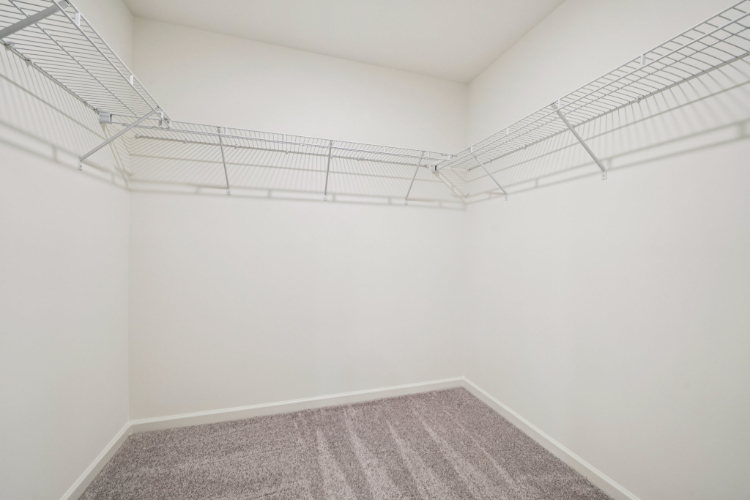 A white room with a carpet.