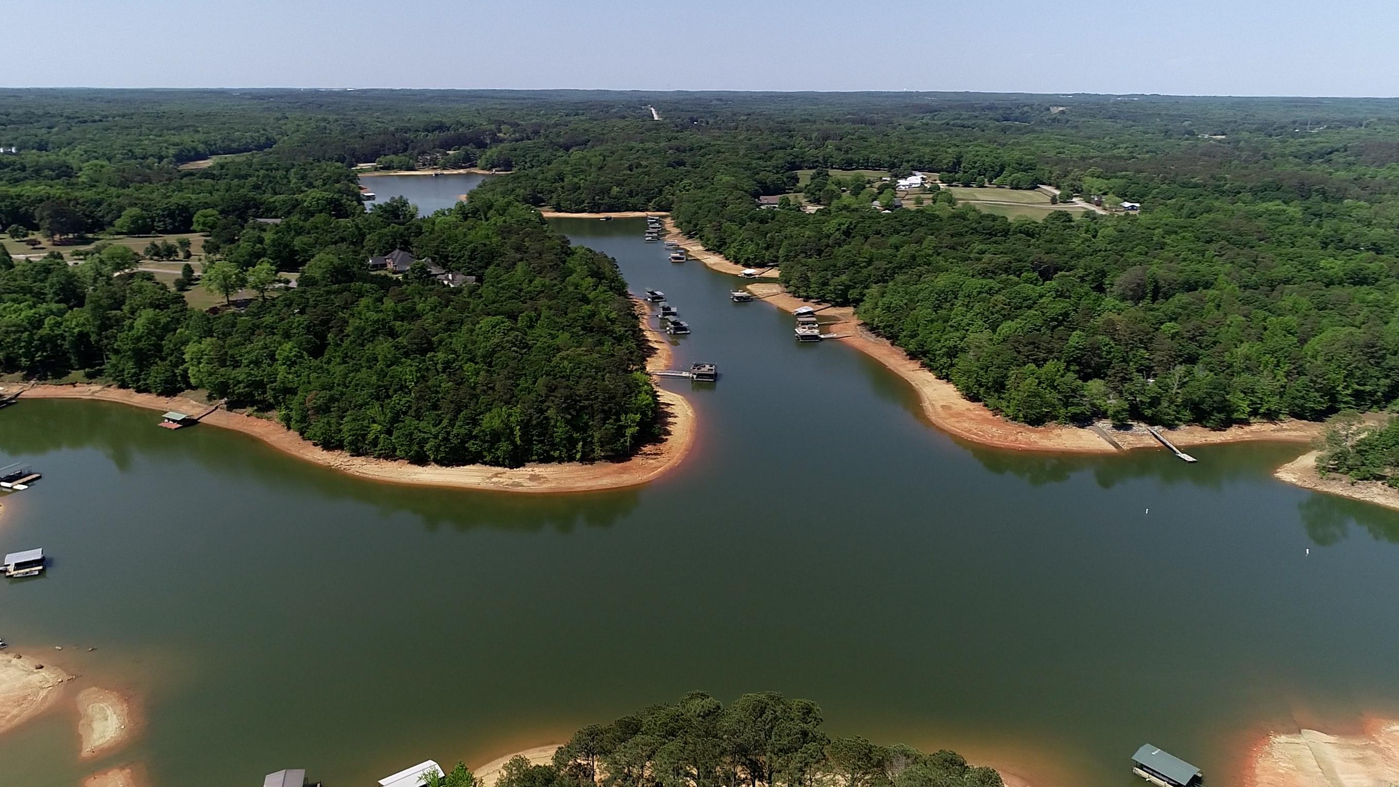 A body of water with trees and boats on it.