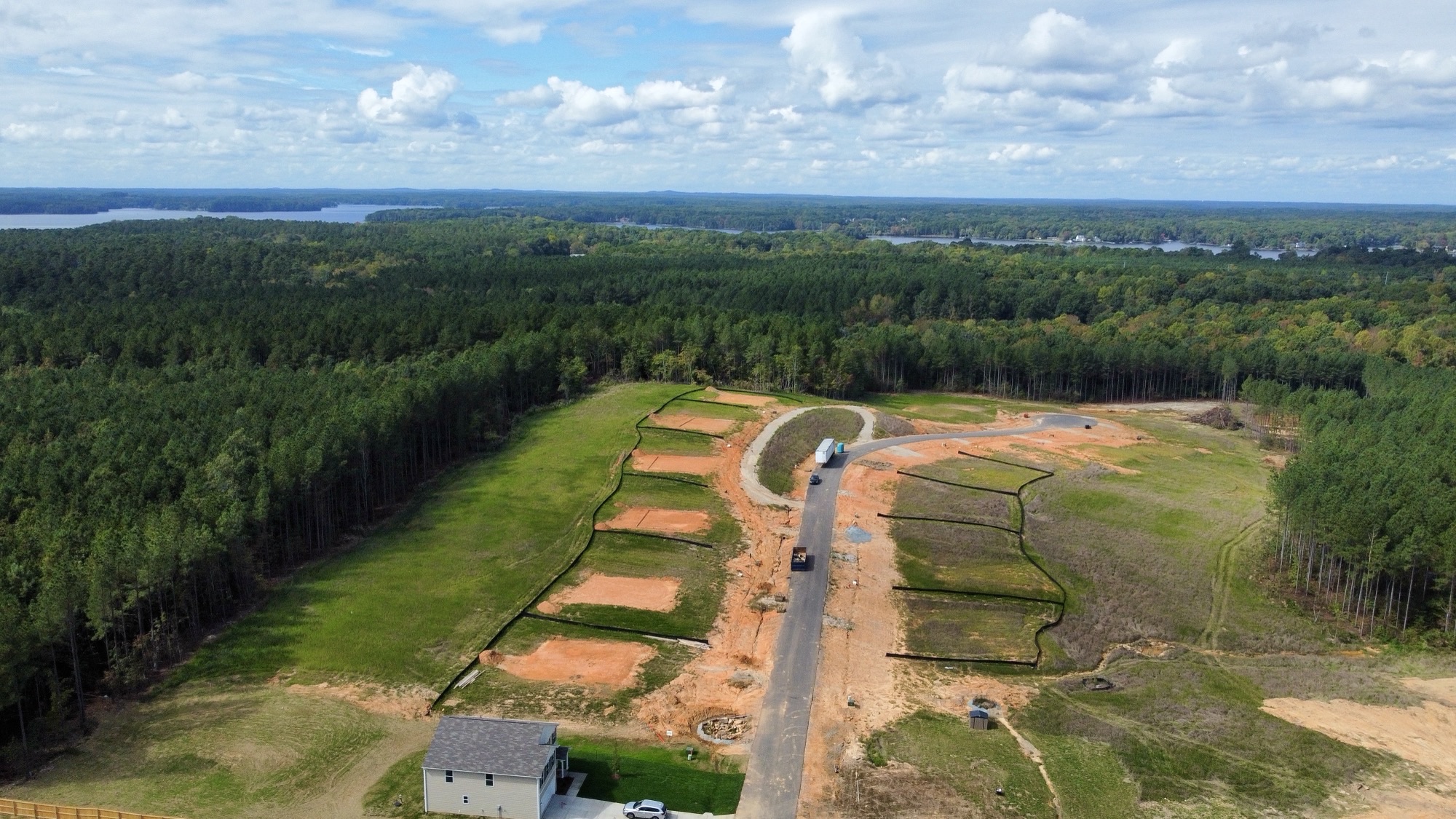 A large green field with rows of trees and a road.